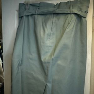 Size 14 Anne Taylor Skirt